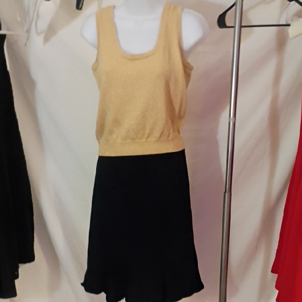 St. John Collection Black and Gold Skirt Set